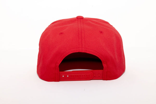 Plainview Beer Shield Hat | High Profile Snapback