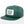 Plainview Beer Company Hat | High Profile Snapback SPRUCE