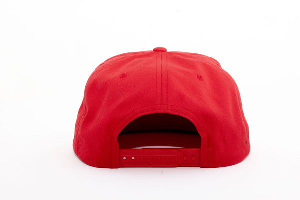 Plainview Beer Company Hat | High Profile Snapback RED